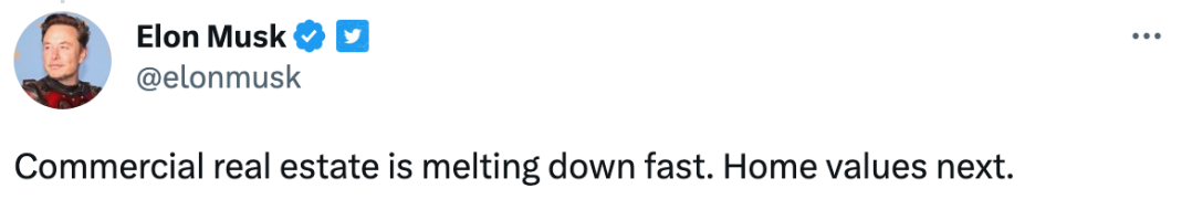 MUSK2.png